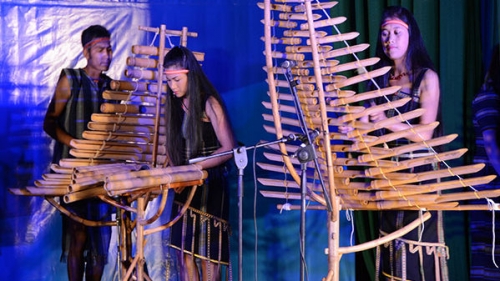 Traditional musical instrument festival to open in Da Lat