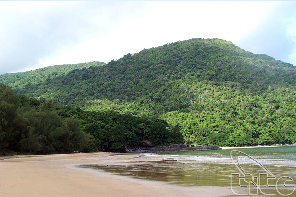 Vườn Quốc gia Côn Đảo chuẩn bị đón chứng nhận khu Ramsar