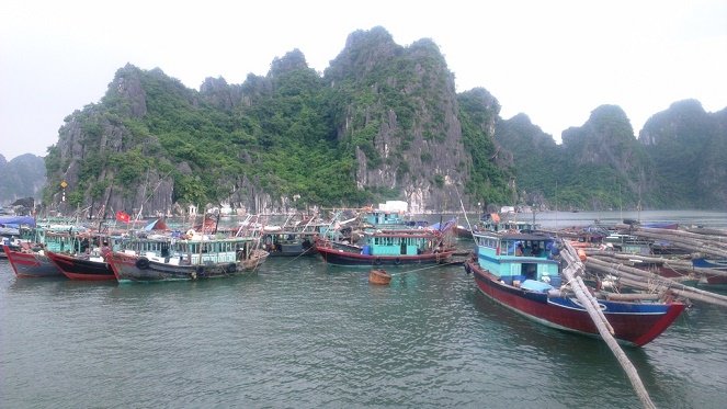 Quảng Ninh ngừng hoạt động đội tàu du lịch để tránh bão