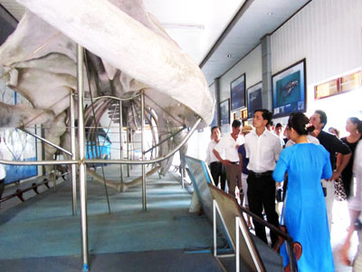 Mở cửa miễn phí cho khách tham quan khu triển lãm Festival Biển