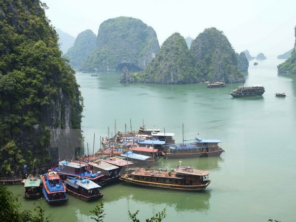 Quảng Ninh: Du lịch biển đảo báo hiệu một "mùa gặt" thành công