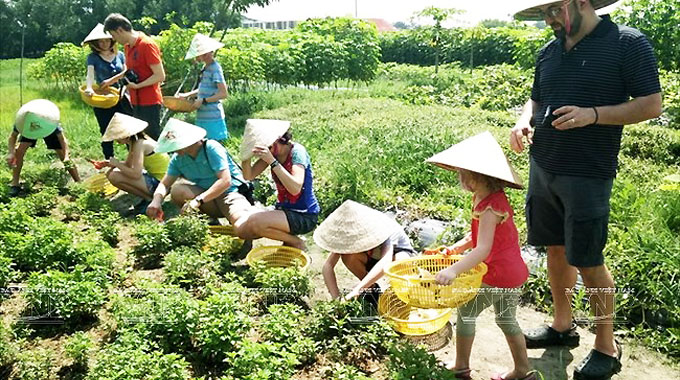 Du khách quốc tế hóa thân thành nông dân miệt vườn Nam Bộ