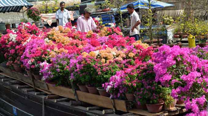 Chợ hoa “trên bến dưới thuyền” ở TP. Hồ Chí Minh ngày giáp Tết Nguyên đán 2016