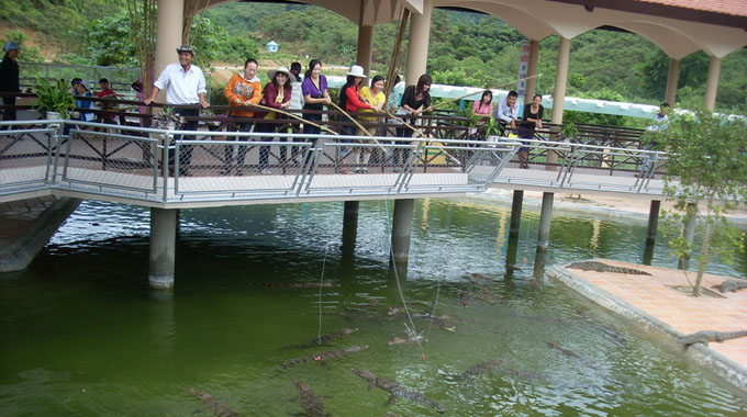 Câu cá sấu ở khu du lịch Yang Bay (Khánh Hòa)