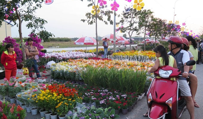 Khai mạc hội hoa xuân Bình Điền 2016