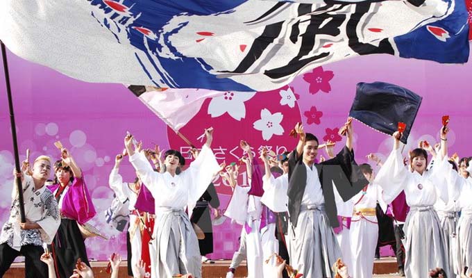 Lễ hội Hanami tại Đà Nẵng - một không gian đậm chất Nhật Bản