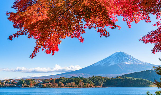 Du lịch mùa thu – trải nghiệm mùa lá vàng đổ tuyệt đẹp của châu Á