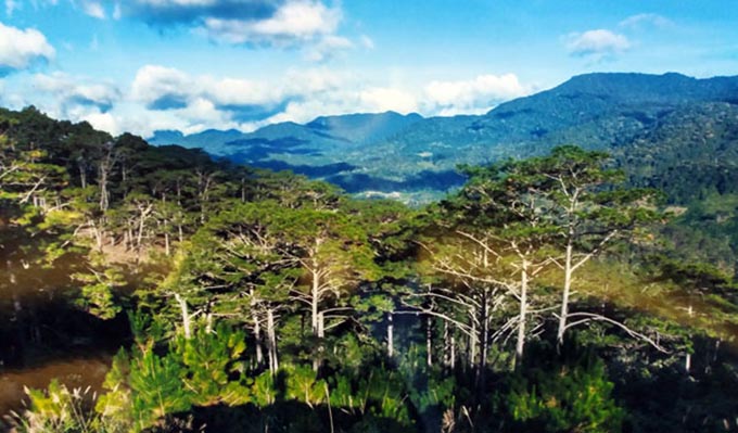 Lâm Đồng: Vườn Quốc gia Bidoup - Núi Bà đón gần 10.100 lượt khách tham quan
