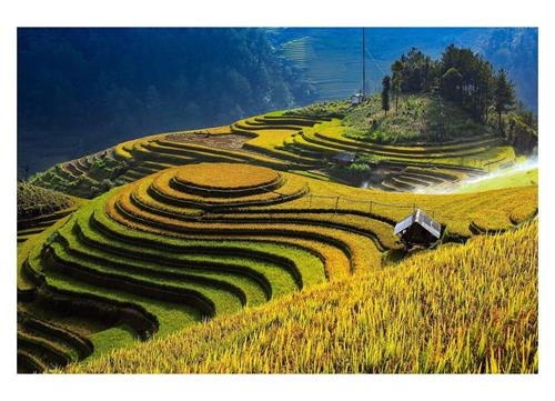 Du lịch Việt Nam: Phát triển du lịch cộng đồng - Hướng đi mới của huyện vùng cao Mù Cang Chải