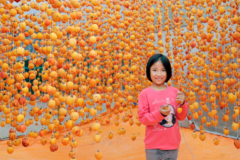 Lâm Đồng: Ngày hội xác lập kỷ lục quốc gia "100 món ăn từ rau và hoa Đà Lạt"
