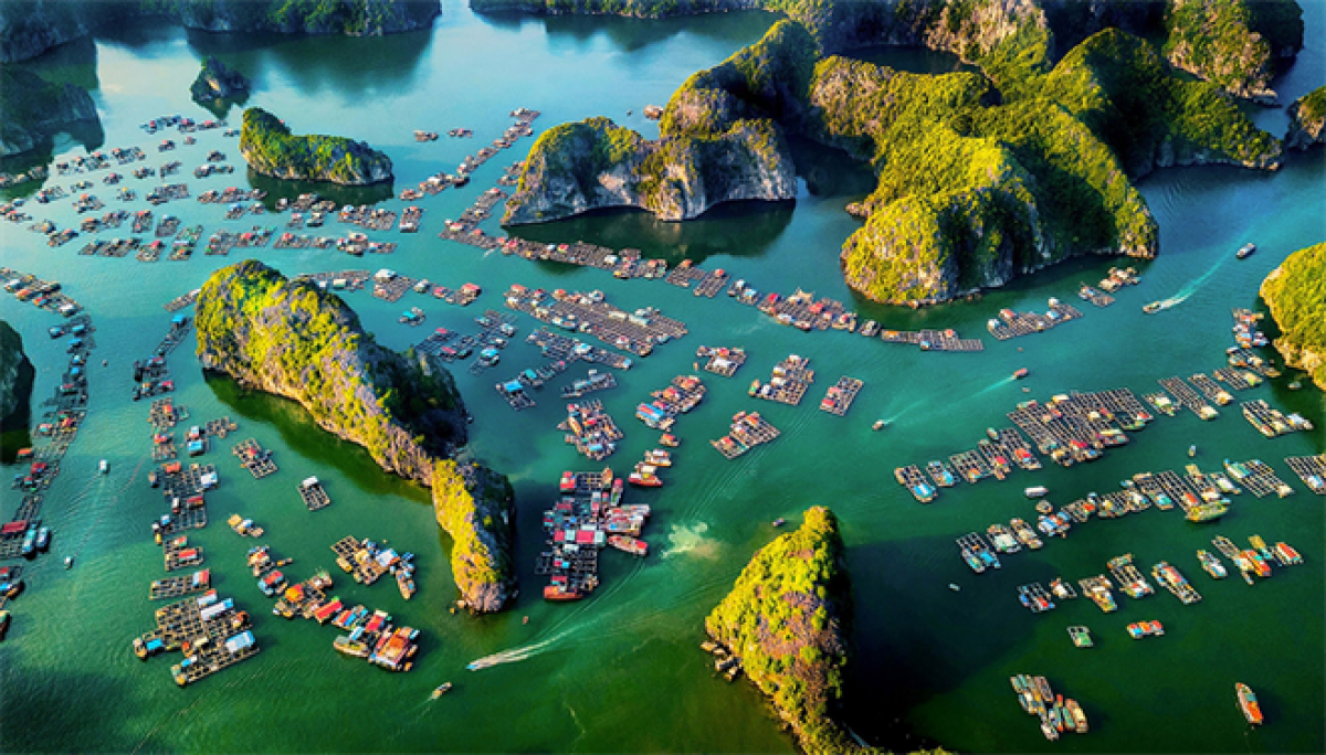 Vietnamese photographer wins gold at international photo contest RGB 2021