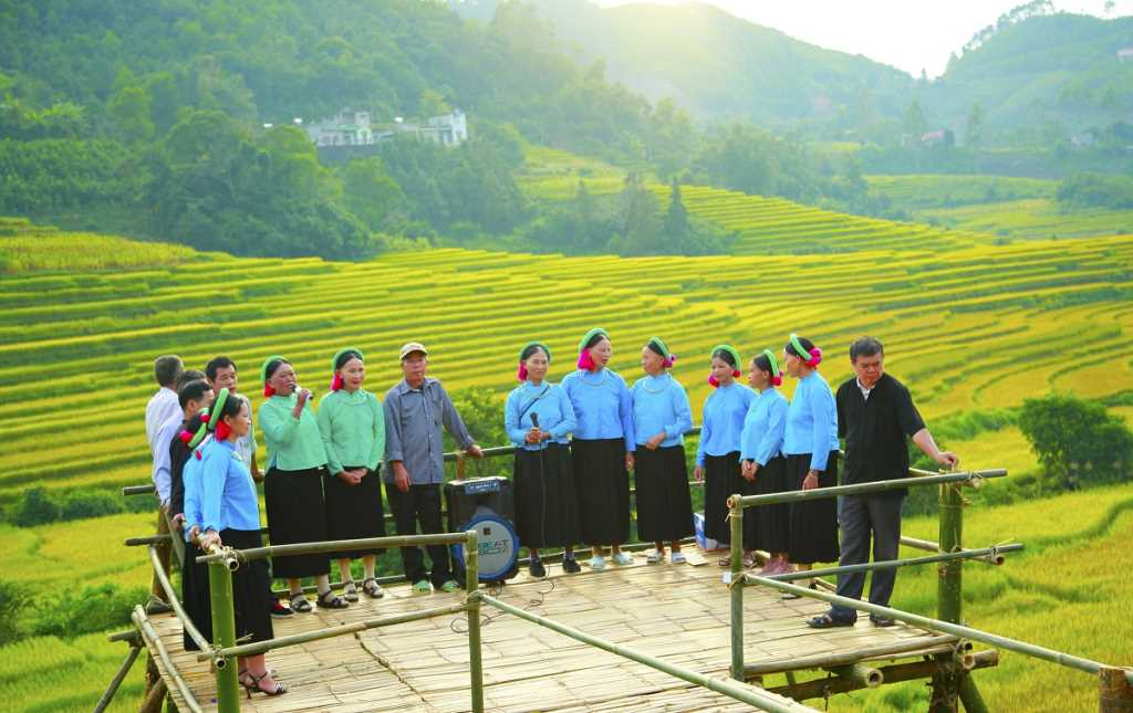 Quang Ninh: "Soong Co yellow season" festival to open in Binh Lieu on October 29