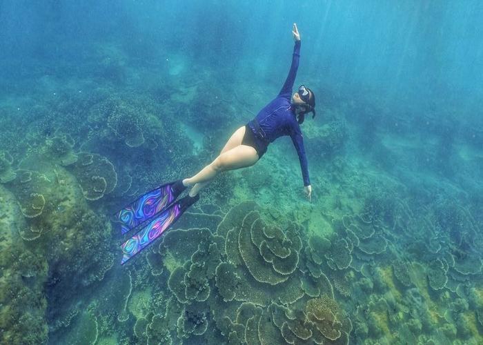 Beautiful places for coral reef snorkeling make tourists mesmerized in Con Dao