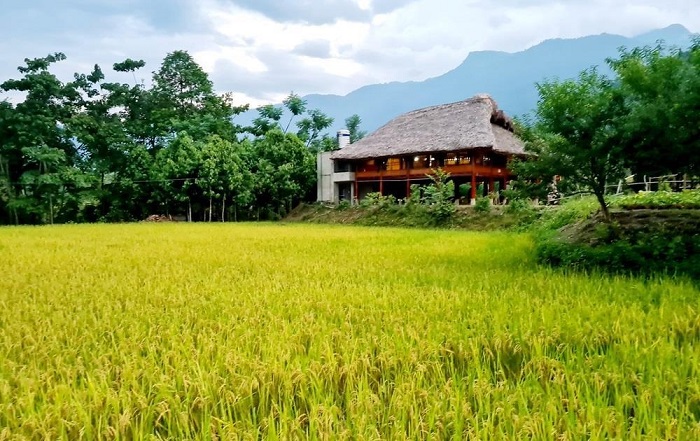 Khai thác tiềm năng “bản địa” để phát triển du lịch ở Lào Cai