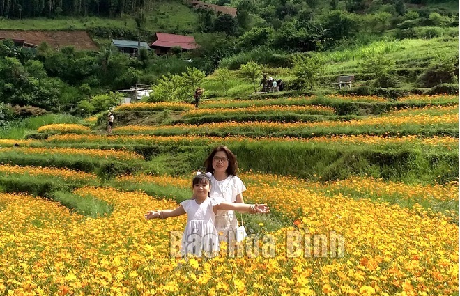 Flower fields charm tourists to Hoa Binh province