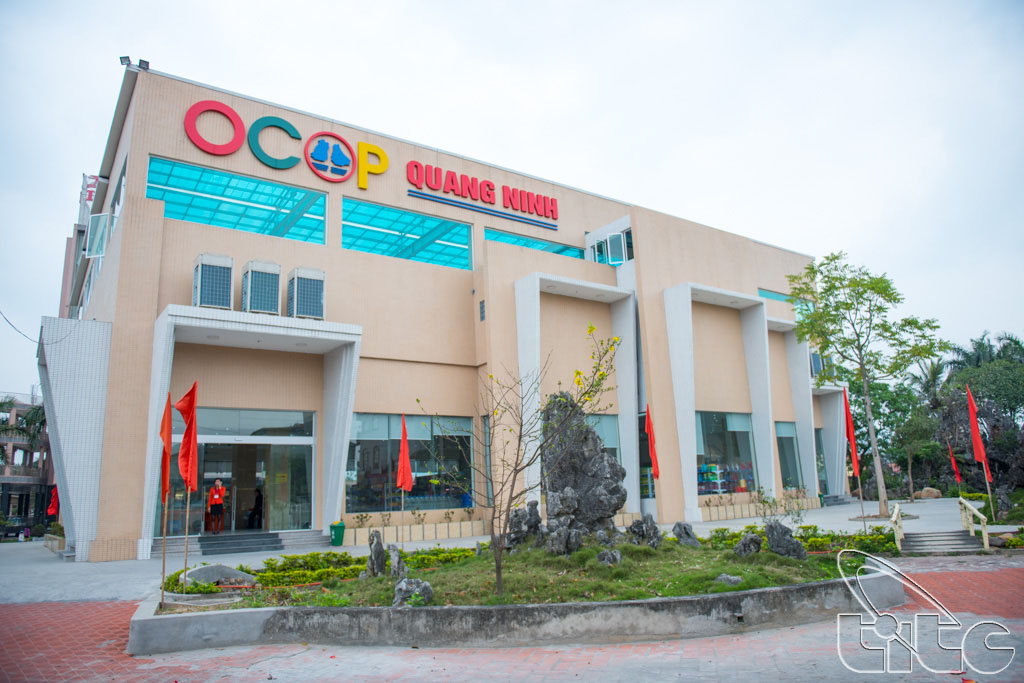 Overview of Quang Ninh OCOP Centre in Dong Trieu Town