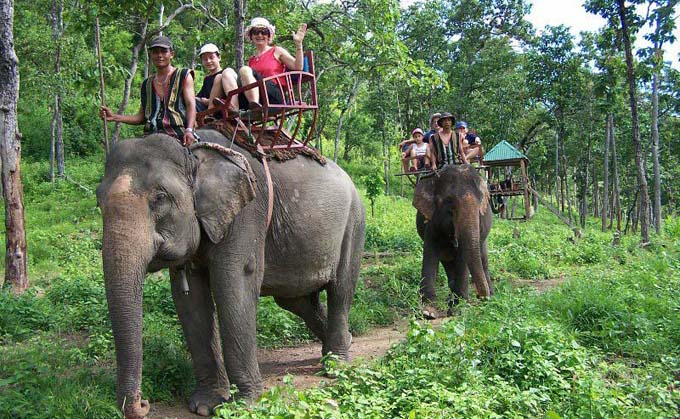 越南Yok Don国家公园加入全球护象阵营 签署了“大象友好型旅游”承诺