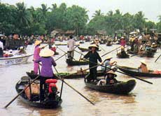 Exotic adventure in Mekong Delta