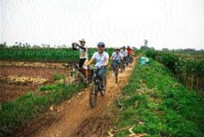 Bicycle tours ideal for exploring suburbs 