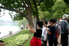 Vietnam attracts large numbers of Korean tourists 