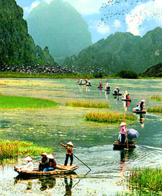 Ninh Binh promotes homestay service to attract tourists