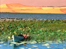 Lotus adds to Bau Trang Lake beauty