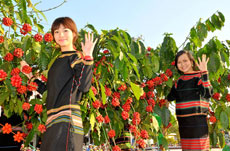 TVB captures aromas of Vietnamese coffee