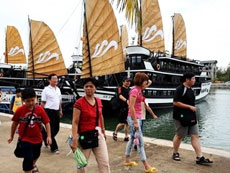Quang Ninh welcomes large numbers of tourists