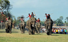 Dak Lak hosts first elephant race