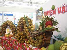 Ben Tre Coconut Festival opens 
