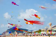 International Kite Festival Vung Tau â€“ Viet Nam 2012
