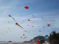 Vietnam Kite Festival opens in Vung Tau 