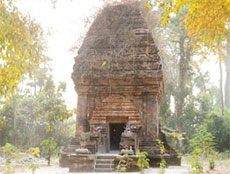 VND10 billion for restoration of Cham tower in Dak Lak province 