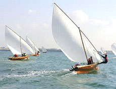 Đua thuyền buồm trên Vịnh Nha Trang