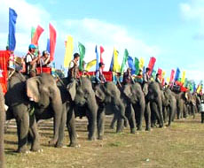 Tham gia Hội đua voi và đua thuyền độc mộc tại Khu Du lịch Hồ Lắk