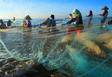 10 tỉnh thành sẽ tham dự Lễ hội các làng biển Việt Nam