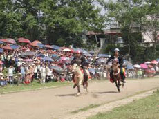Giải đua ngựa truyền thống Bắc Hà mở rộng năm 2012 