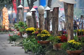 Hội hoa - Chợ Tết tôn vinh làng nghề và hàng nông sản chất lượng cao
